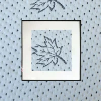 13.webp