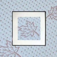 14.webp